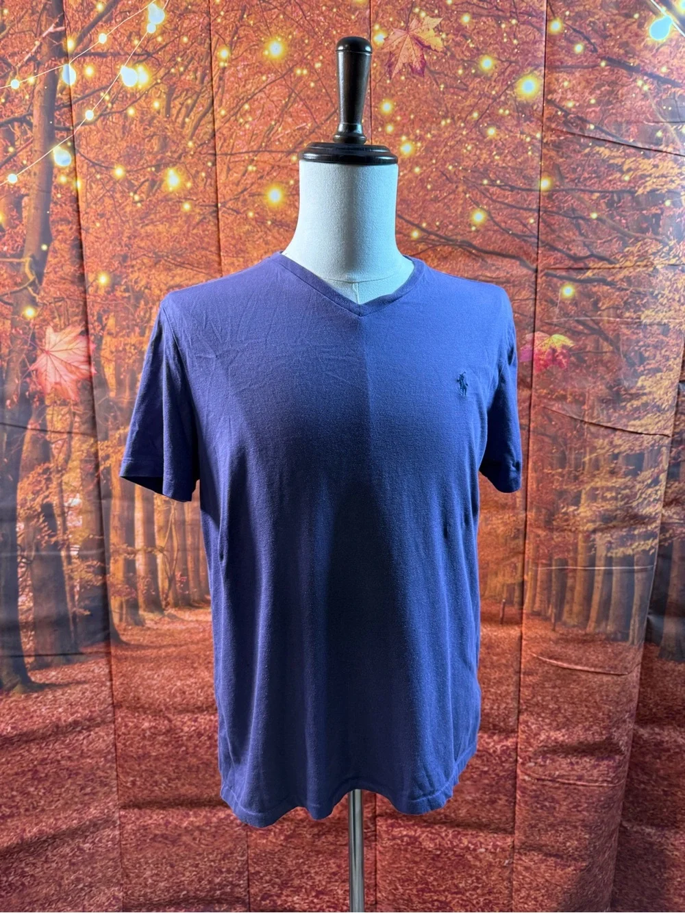 318-Polo by Ralph Lauren Men's V-Neck Tee in Navy